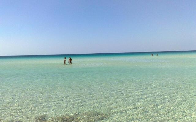 Punta Prosciutto apartments to rent