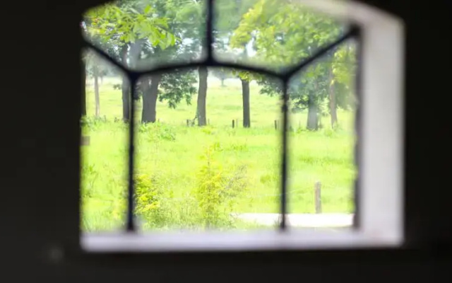 Ruigenhof Bed & Breakfast