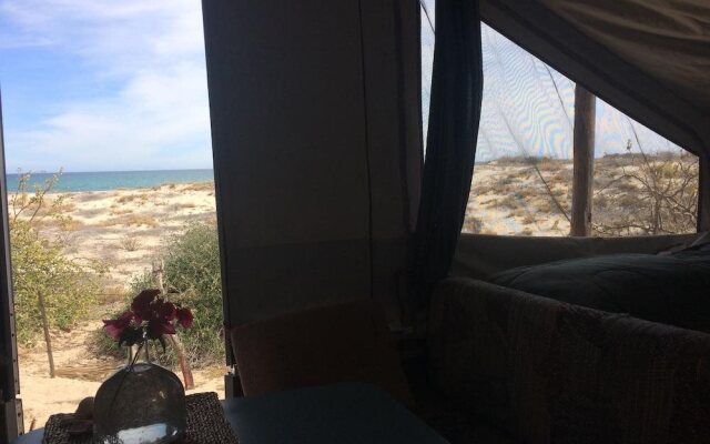 Cabo Pulmo Eco Palapa, a Gated Resort on Punta Los Mangles
