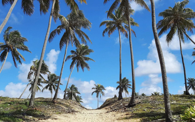 Temporada em Jacuípe casas pertinho da praia