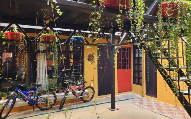 Parrot House