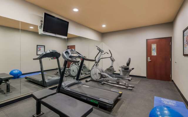 Best Western South Plains Inn & Suites