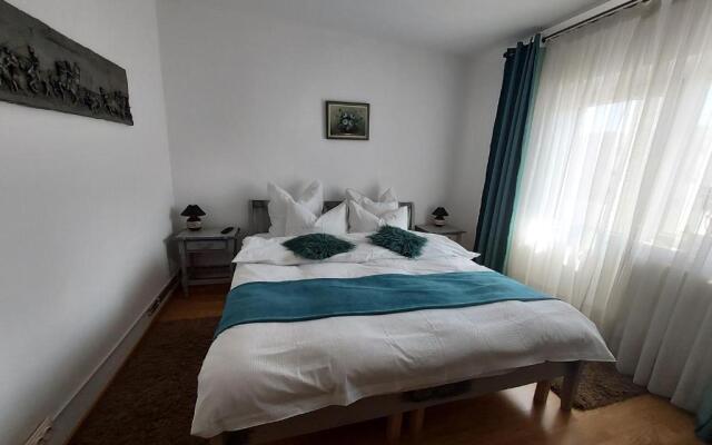 Vintage Central Apartament