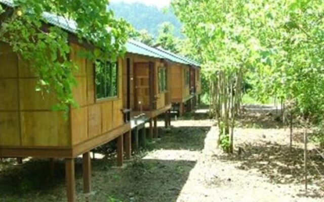 Nature Lodge Kinabatangan