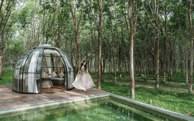 Timber Society Boutique Hideaway