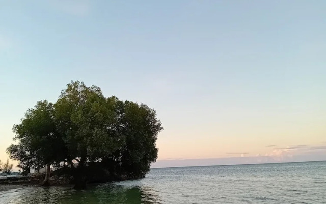 Coconut Tree Village Beach Resort