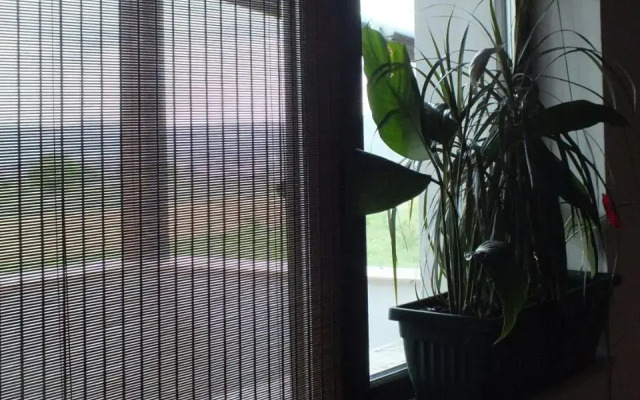 Camere De Inchiriat Onelia