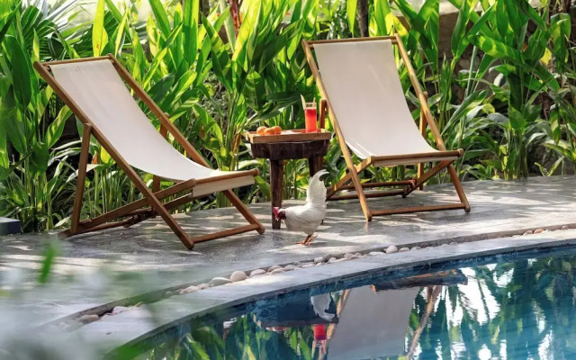 Trang An Aroma Homestay