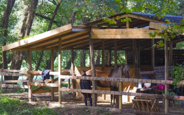 Coco Barn Wood Lodge