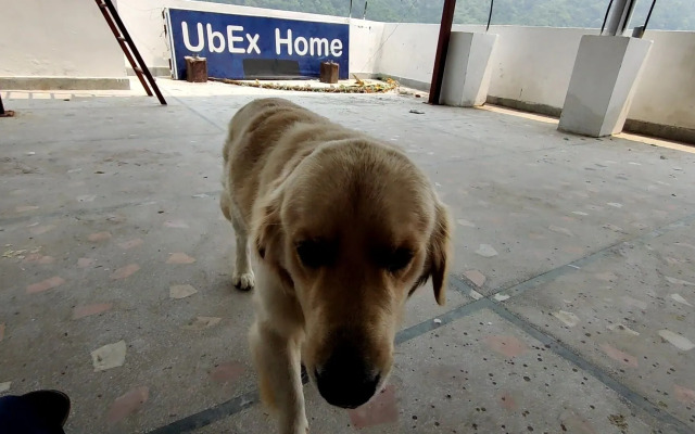 UbEx Home Rishikesh - Hostel