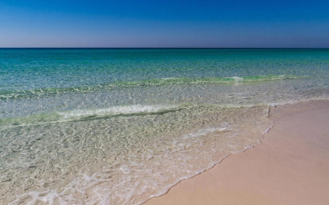 Tides 204-205 Lockout