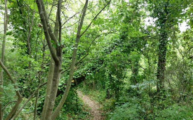 Furaha Villa Etna Trecastagni