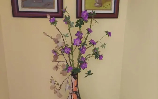 Frente barcos do mar