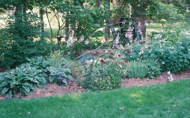 Tulips and Thistle Bed & Breakfast