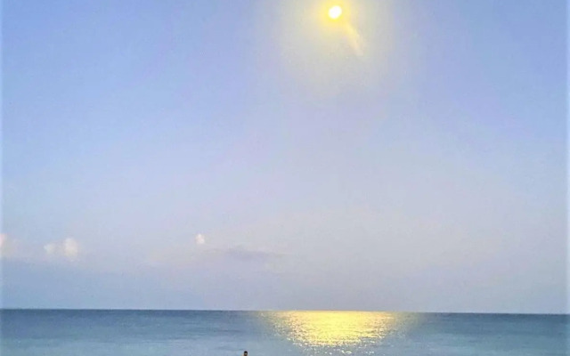 Mermaid's Lighthouse