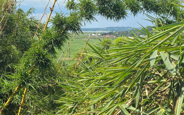 Crystal Apartment Hotel And Lodges