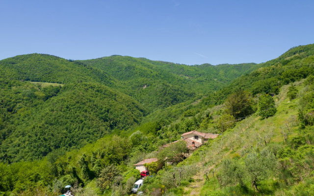 Locazione turistica Il Castagneto