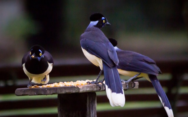 Hotel Santa Esmeralda