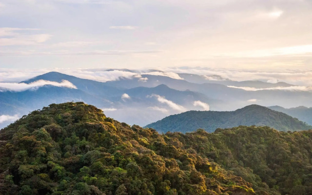 Silverstar Apartment @ Greenhill Resort