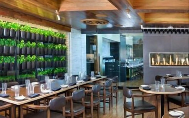 Luxury Suites at the Palms