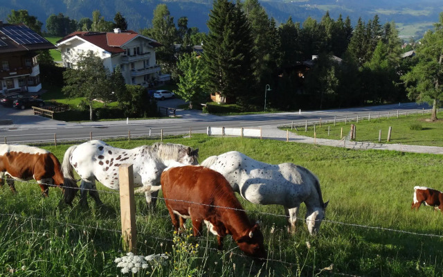 Haus Alpina
