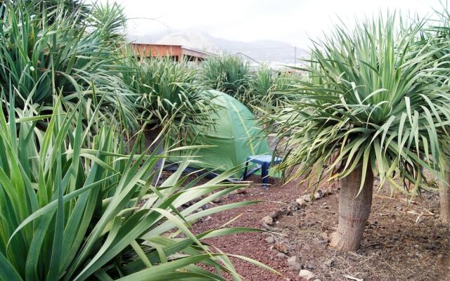 Agro Camping Invernaderito