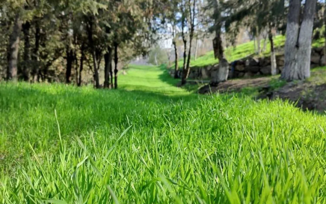 Organic House & Aquapark