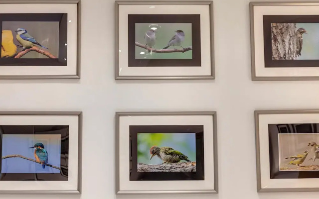 Mamo Florence - Conce Apartment