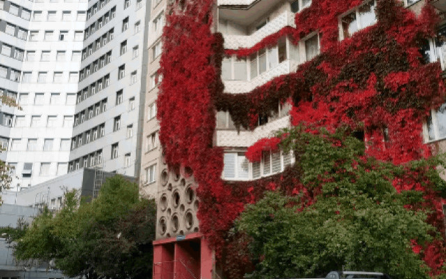 Apartments on Moskovsky Prospekt 42