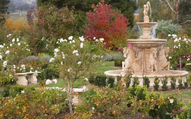 Brookfield Guesthouse