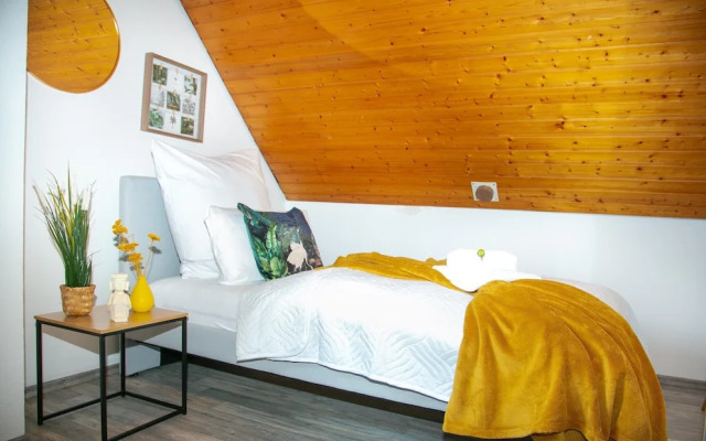 Villa in Koblenz With Rhine Views & Sauna