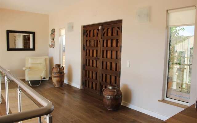 Luxury Villa Near Marbella