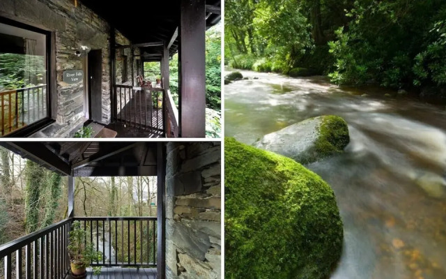 River Falls View