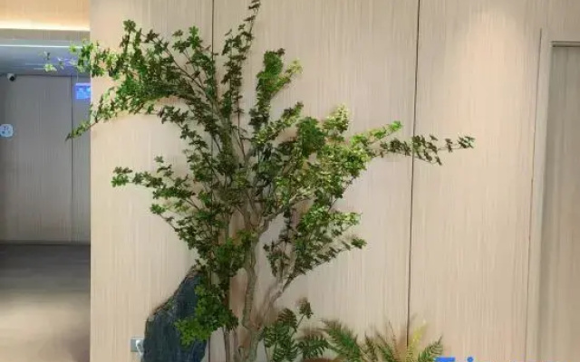 Kuyou E-sports Homestay (Cuihuangkou Huochezhan)