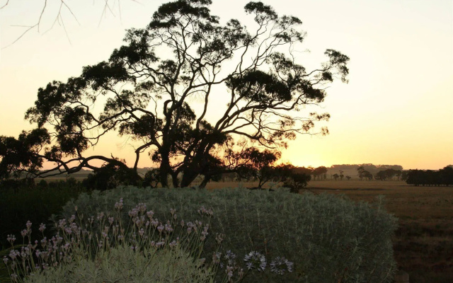 Quamby Homestead