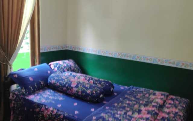 Homestay Hanum