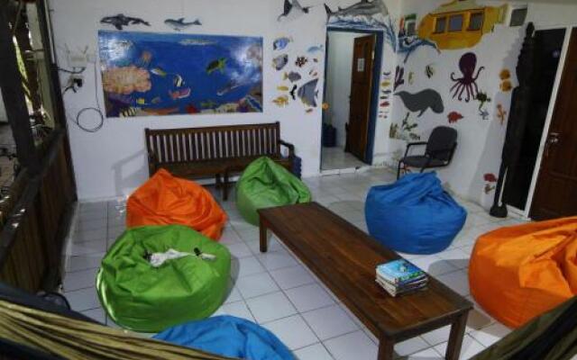 Timor Backpackers