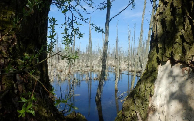 Baltisches Haus Pension Moll