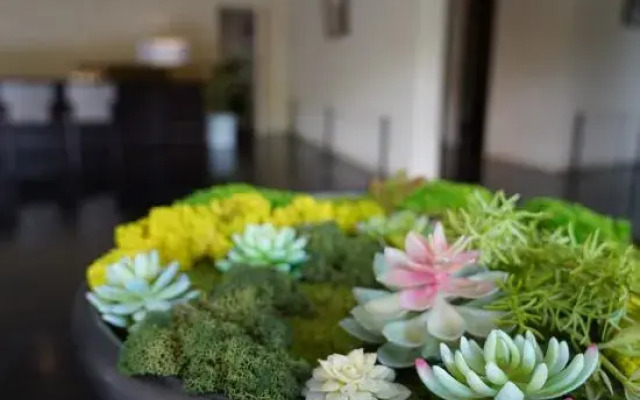 Yuanqi Art Hotel