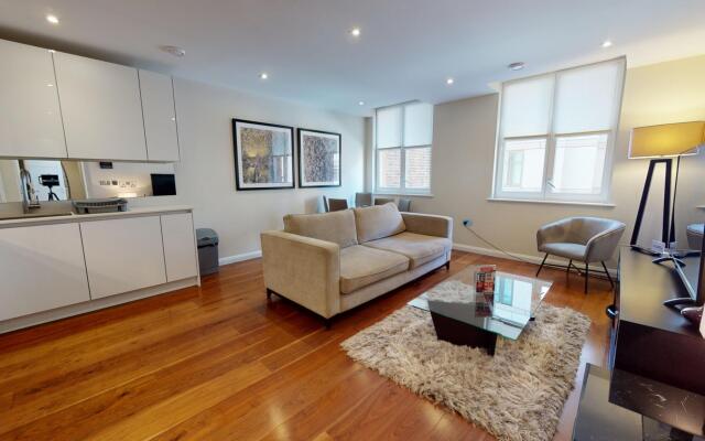 Spacious One Bedroom Apartment in Chancery Lane