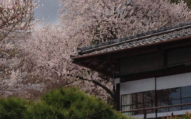 Cultural Property of Japan Senzairo