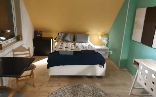 The Pink House