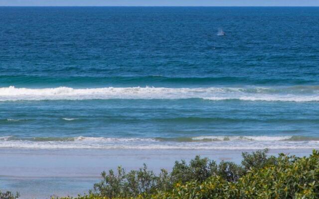 White Waves 6 - Ocean Views From Beachfront Balcony