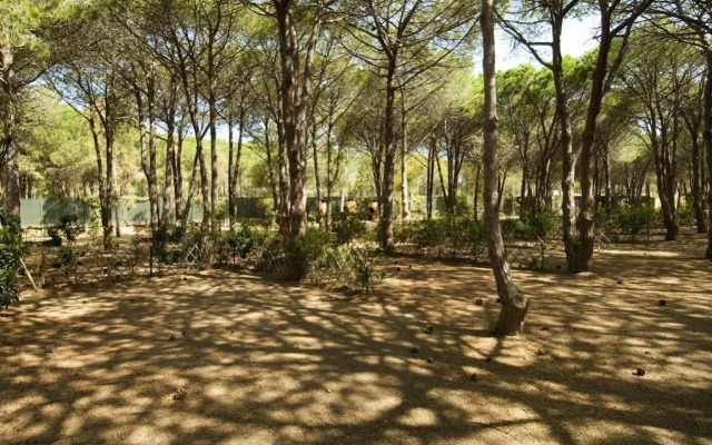 Villaggio Camping Spiaggia Del Riso