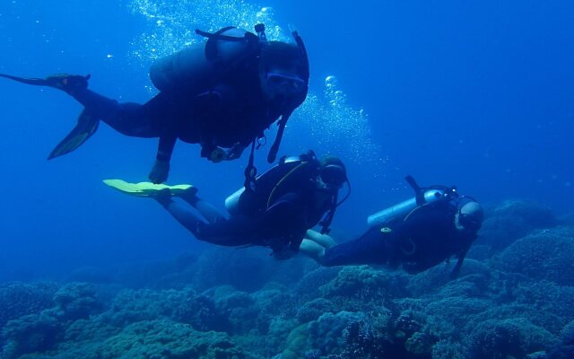 Liquid Dive Resort