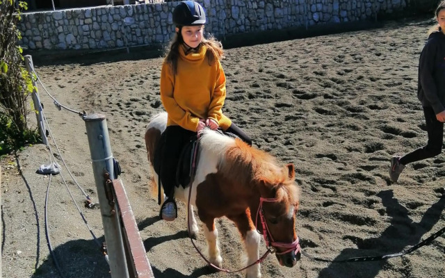 Apartments Podkoren 82