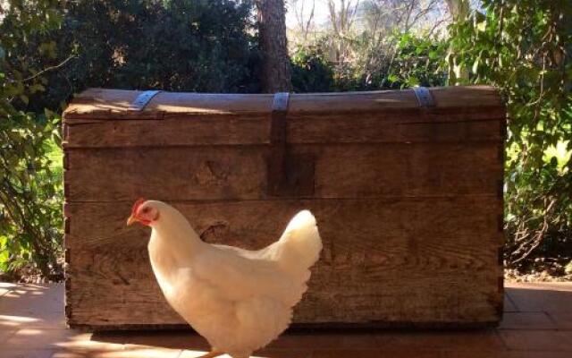 BB At Home In Maremma