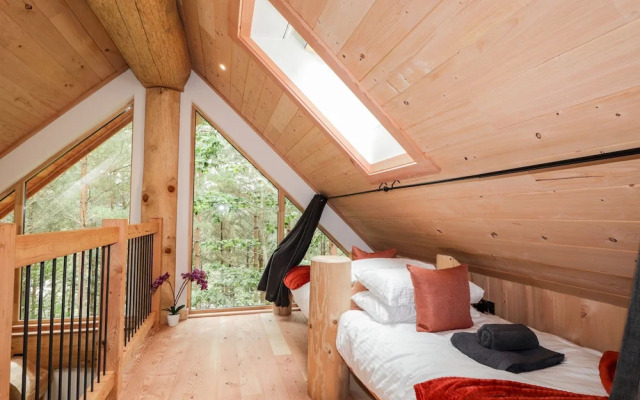 Pine Marten Lodge