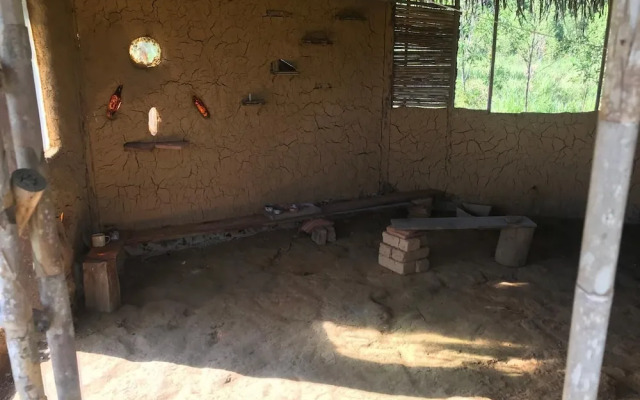 Ayahuaska