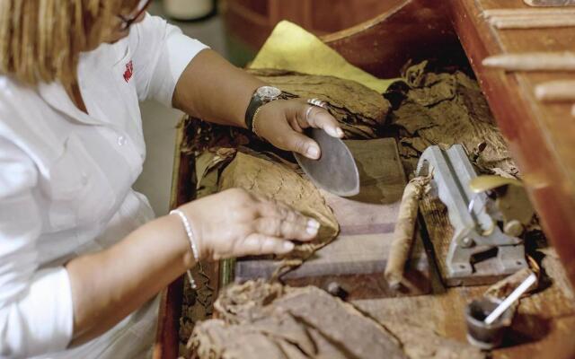 Meliá Cohiba
